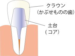 クラウンとコア