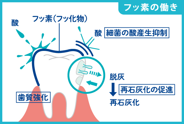 フッ素