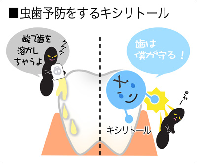 キシリトールガムのはたらき