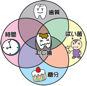 虫歯サイクル