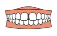 空隙歯列（くうげきしれつ）