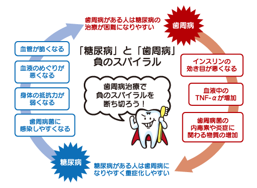 糖尿病と歯周病